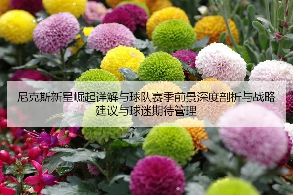 ni-ke-si-xin-xing-jue-qi-xiang-jie-yu-qiu-dui-sai-ji-qian-jing-shen-du-pou-xi-yu-zhan-lve-jian-yi-yu-qiu-mi-qi-dai-guan-2-129.jpg