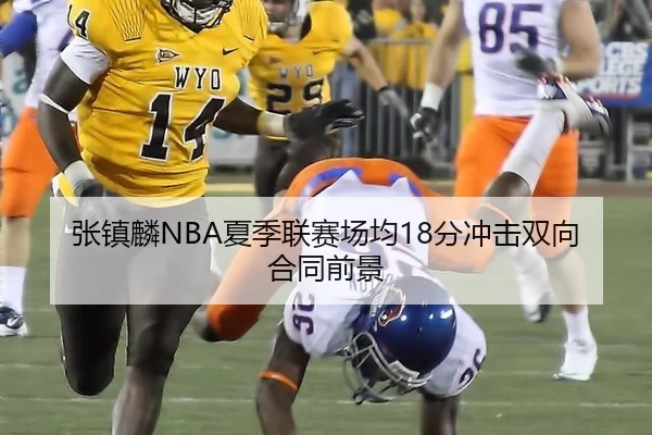 张镇麟NBA夏季联赛场均18分冲击双向合同前景